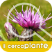 Plant Finder - Images, scientific names, common names of plants now fo